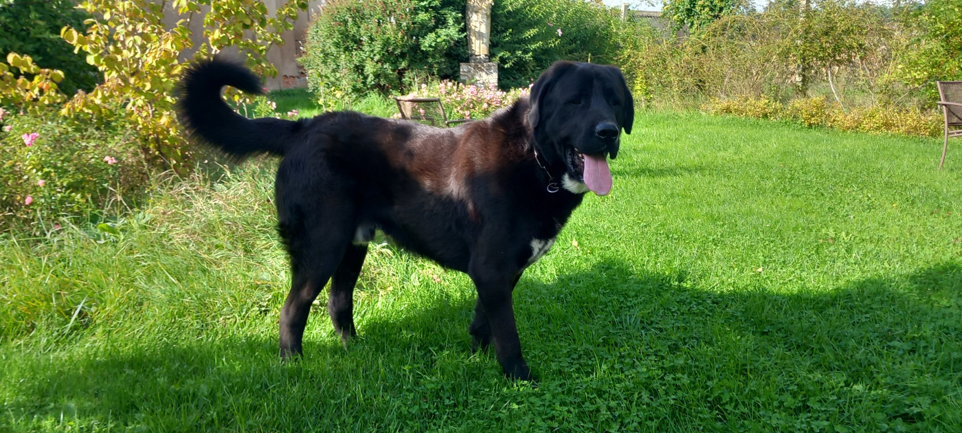 Rock-samar Stancocker